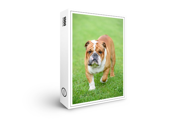 raxxa Premium-Puzzle: Bulldogge im Freien