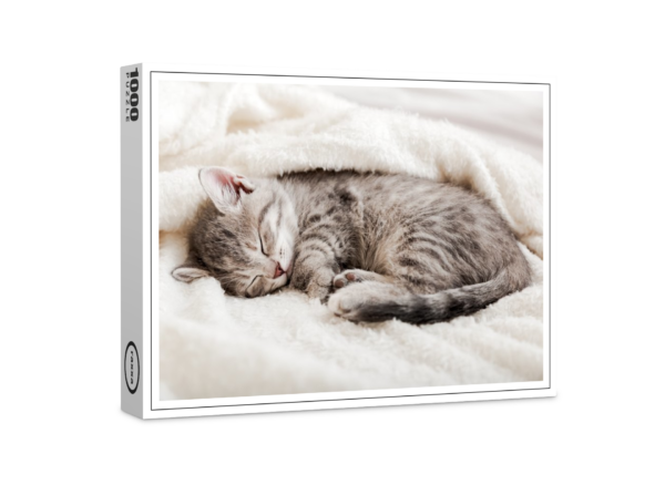 raxxa Puzzle Premium: Gatito atigrado durmiendo