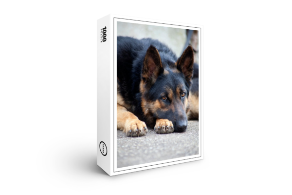 raxxa Premium-Puzzle: Deutscher Schäferhund Müüde