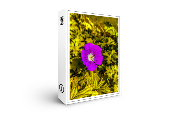 raxxa Premium Puzzle: Purple flower