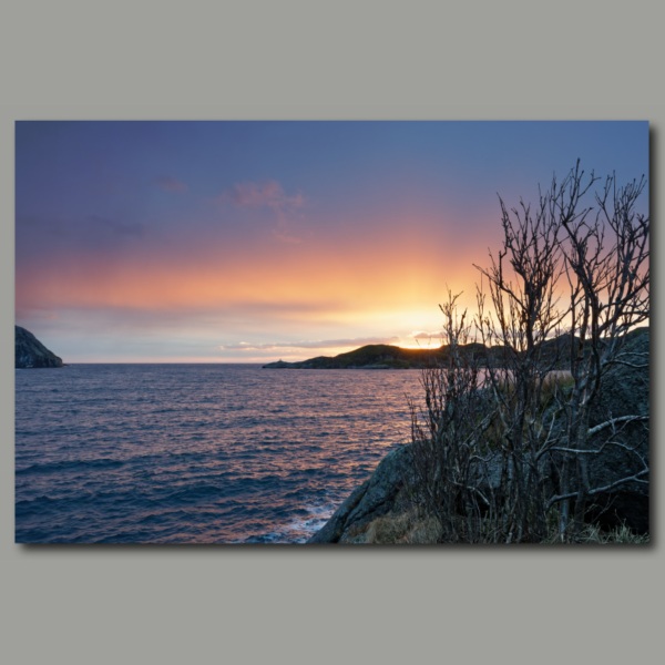 Poster : Lumière du matin sur la mer