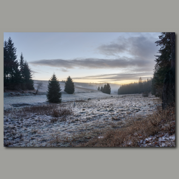 Poster: Icy meadow in the evening light