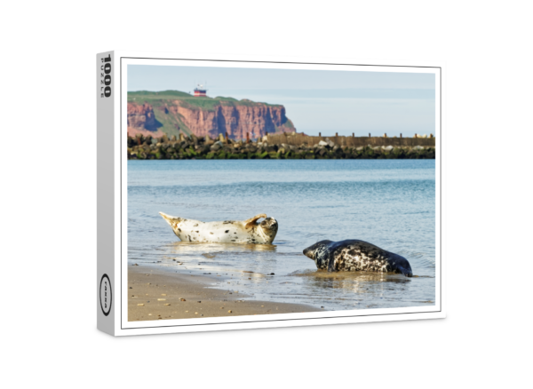 raxxa Premium-Puzzle: Kegelrobben in Helgoland