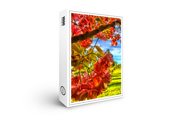 Puzzle premium raxxa : les cerisiers en fleurs