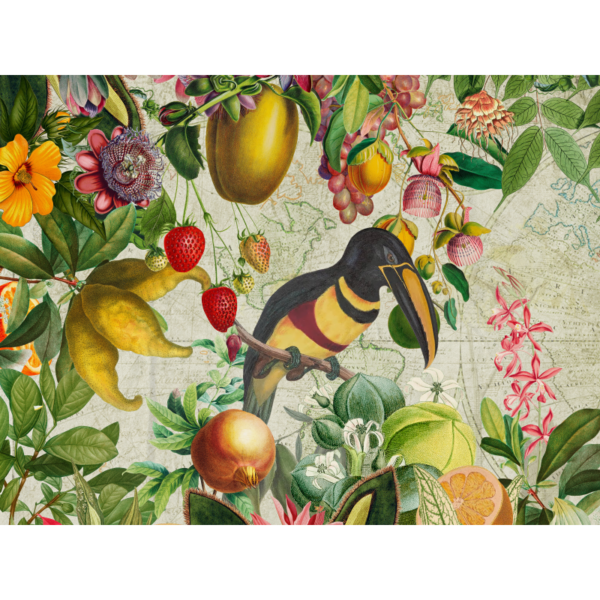 raxxa premium placemat: Nostalgic toucan jungle