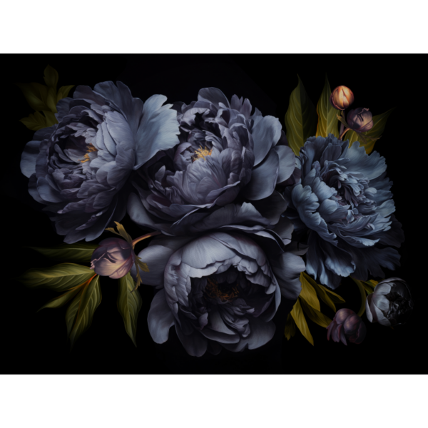 raxxa premium placemat: Blue flowers on black: Baroque peonies in all their glory