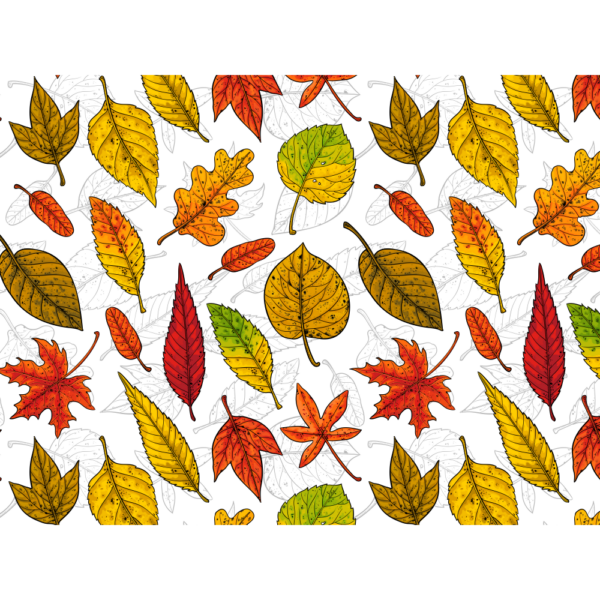 raxxa Set de table premium : Autumn leaves