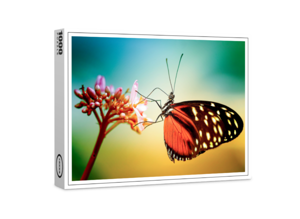 raxxa Premium-Puzzle: Butterfly