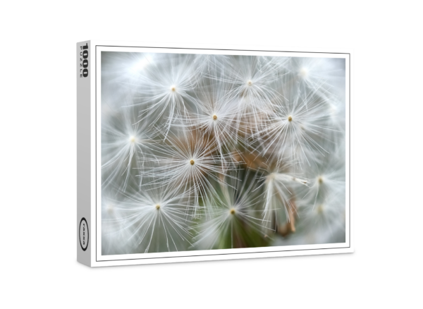 raxxa Premium-Puzzle: Pusteblume 001