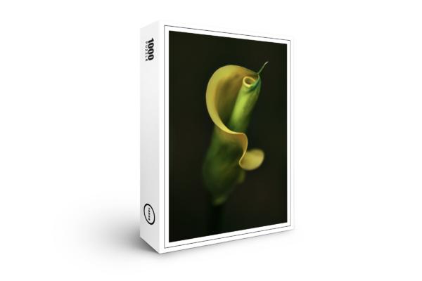 puzzle premium raxxa: calla gialla #001