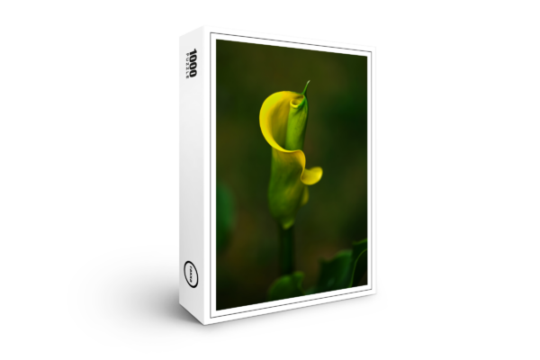 raxxa premium puzzle: yellow calla #002