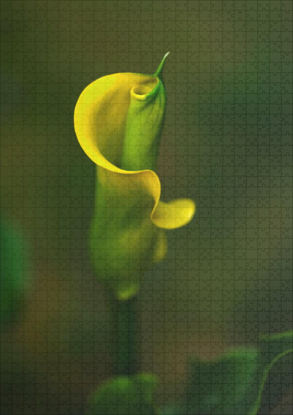 raxxa Premium-Puzzle: gelbe Calla #002 - Image 2