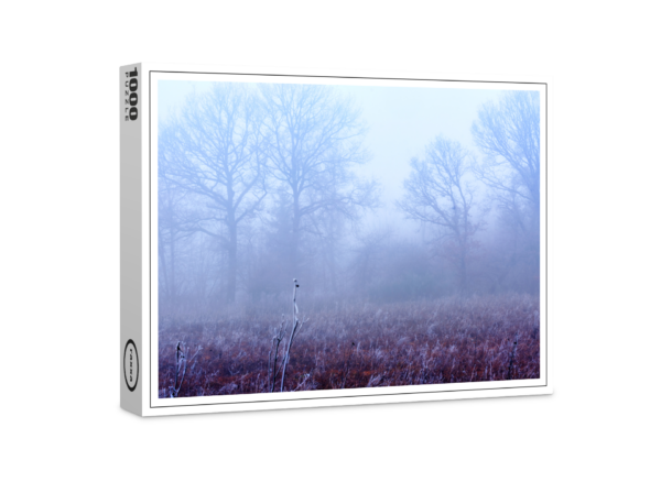 raxxa Premium Puzzle: Morning fog