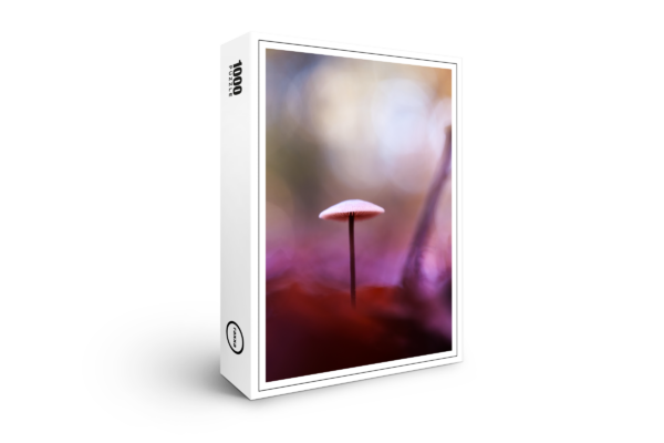 raxxa Premium Puzzle: Magic Mushroom