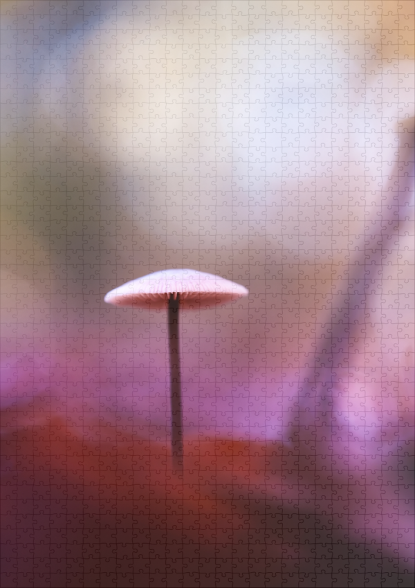 raxxa Premium-Puzzle: Magic Mushroom - Image 2