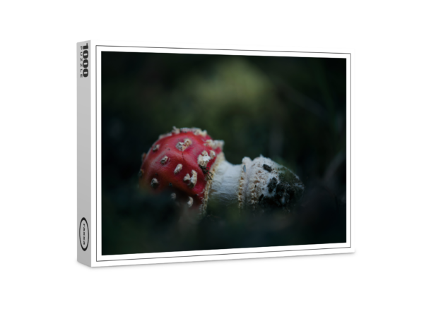 rompicapo premium di raxxa: Toadstool