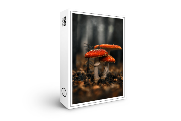 raxxa premium puzzle: Toadstools