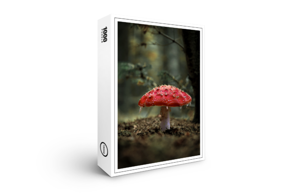 rompicapo premium di raxxa: Toadstool