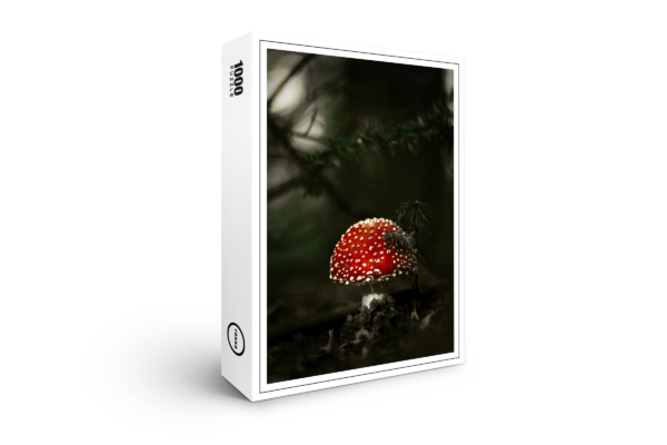 rompicapo premium di raxxa: Toadstool