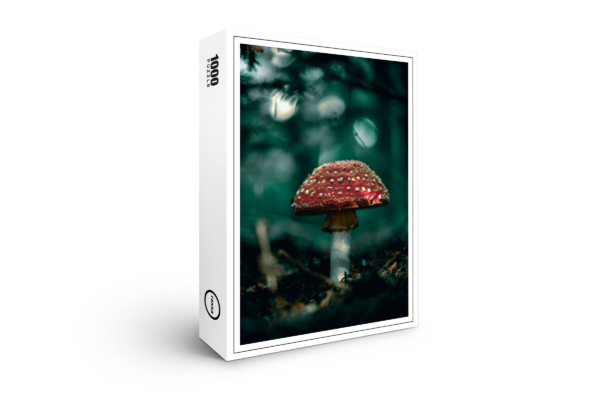 raxxa premium puzzle: Toadstool