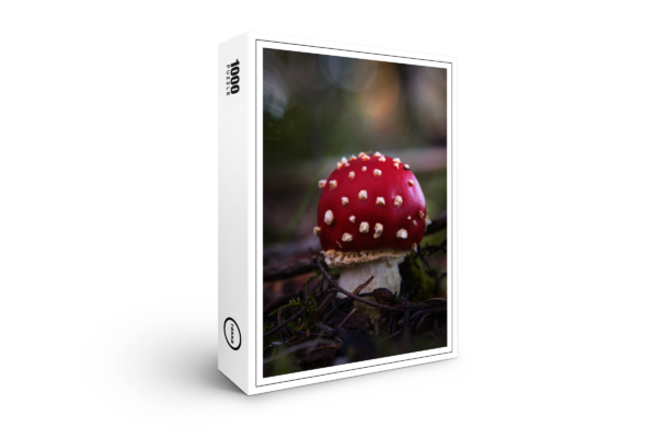 rompicapo premium di raxxa: Toadstool