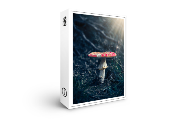 rompicapo premium di raxxa: Toadstool