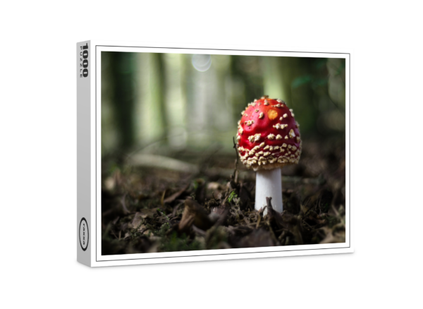 raxxa premium puzzle: Toadstool