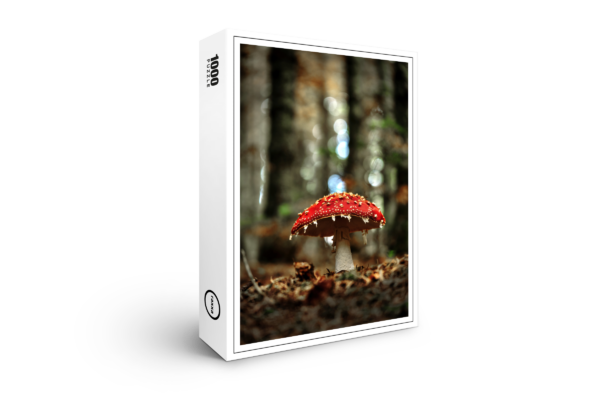 rompicapo premium di raxxa: Toadstool