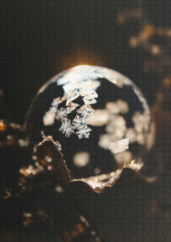 raxxa Premium-Puzzle: Frozen Bubble - Image 2