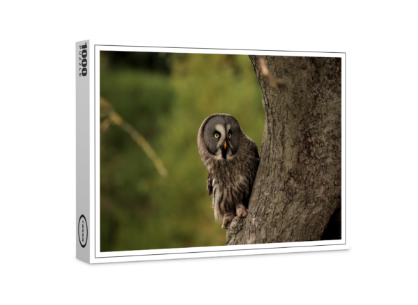 raxxa Premium Puzzle: Great horned owl