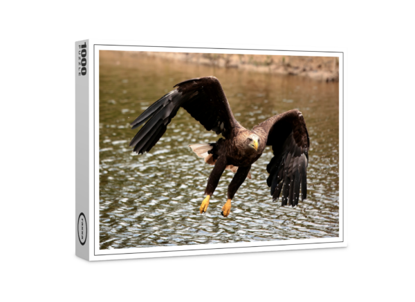 raxxa Premium Puzzle: Sea Eagle