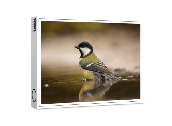 raxxa Premium Puzzle: Great Tit