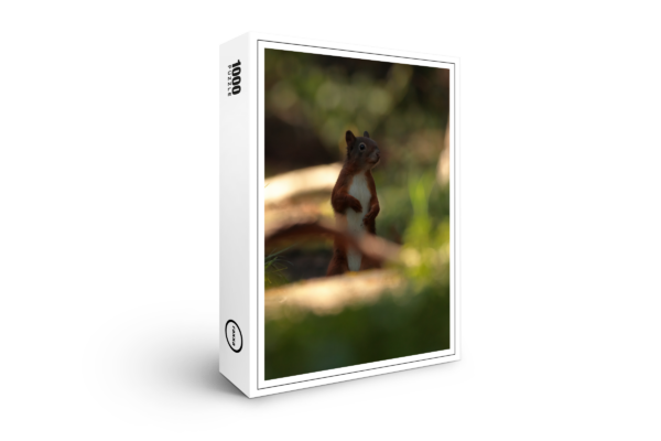 raxxa Premium Puzzle: Squirrel