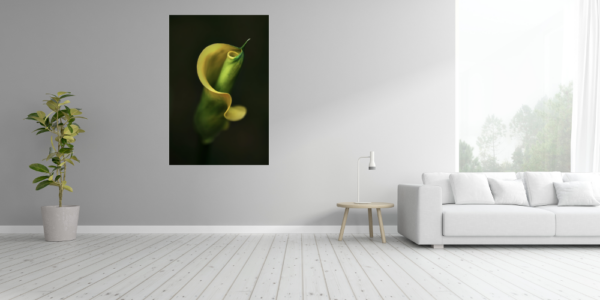 Poster: gelbe Calla #001 - Image 3