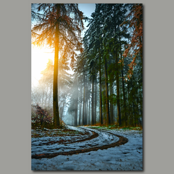 Poster: Winter path