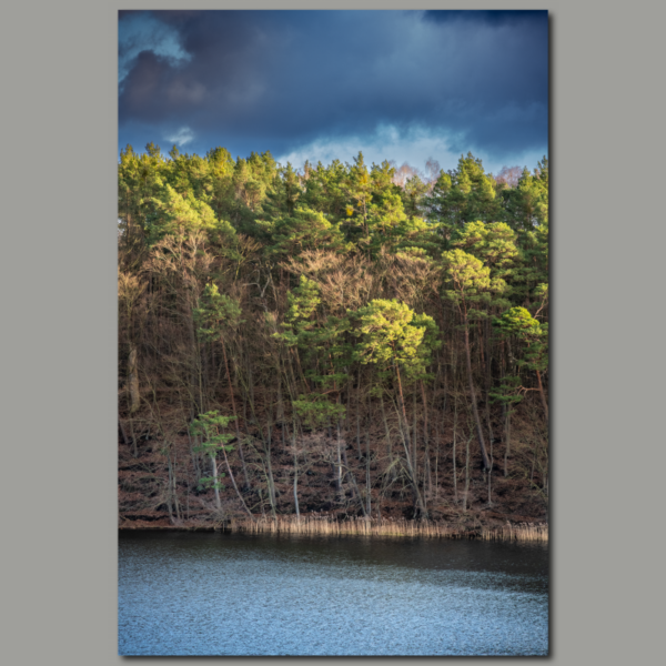 Poster: Evening atmosphere at Liepnitzsee