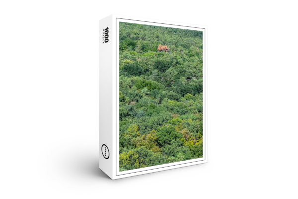 raxxa Premium-Puzzle: Der erste bunte Baum im Herbst