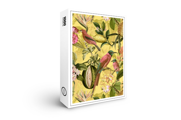 Puzzle premium raxxa : Paradis des oiseaux aux couleurs magnifiques