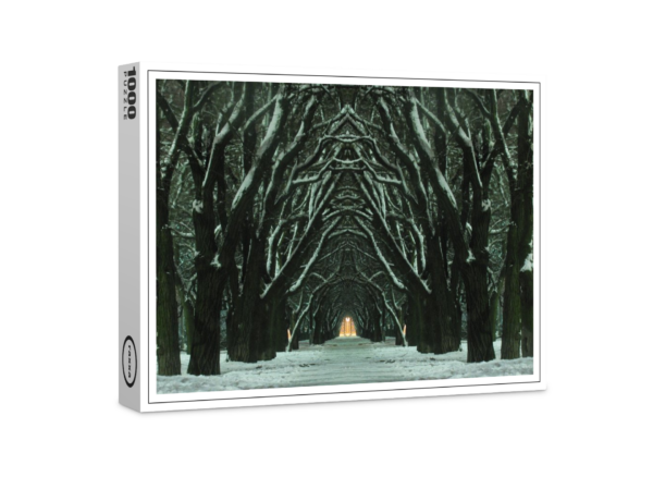 raxxa Premium-Puzzle: Mystische Allee in der Winternacht