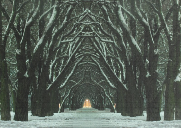 raxxa Premium-Puzzle: Mystische Allee in der Winternacht – Bild 2