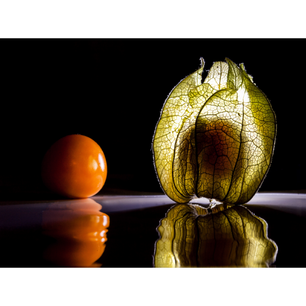 raxxa Premium-Tischset: Physalis - Imagen 2