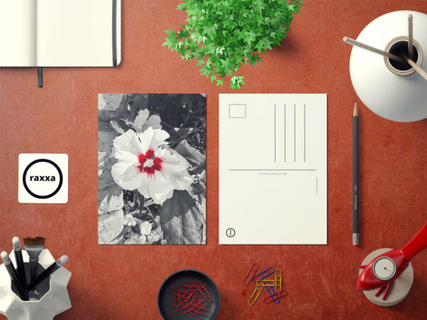 raxxa Postkarte: Hibiscus colors