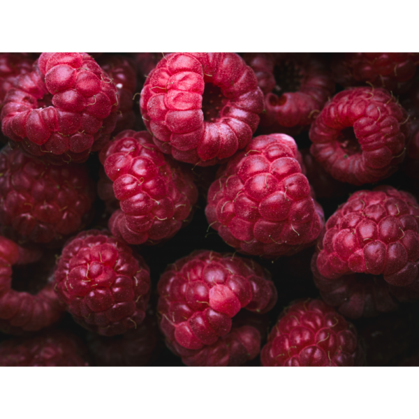 raxxa Premium-Tischset: Rasberries – Bild 2