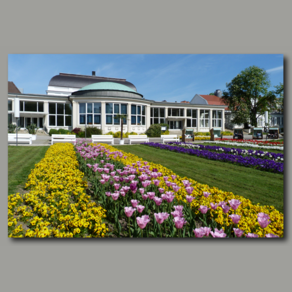 Poster: Blumen und Kurhaus in Bad Salzuflen