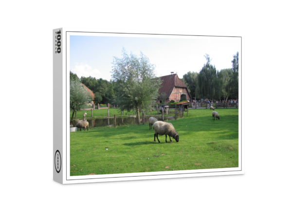 Puzzle raxxa Premium : moutons dans la ferme du zoo de Hanovre