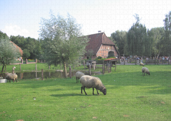 raxxa Premium-Puzzle: Schafe im Bauernhof Erlebniszoo Hannover - Image 2