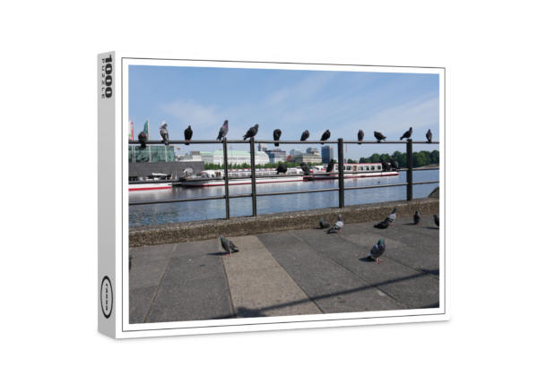 raxxa Premium Puzzle: Palomas Binnenalster Hamburgo