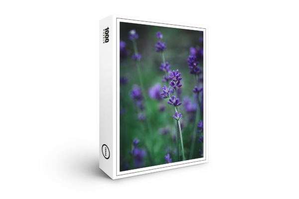 raxxa Premium-Puzzle: Lavendel