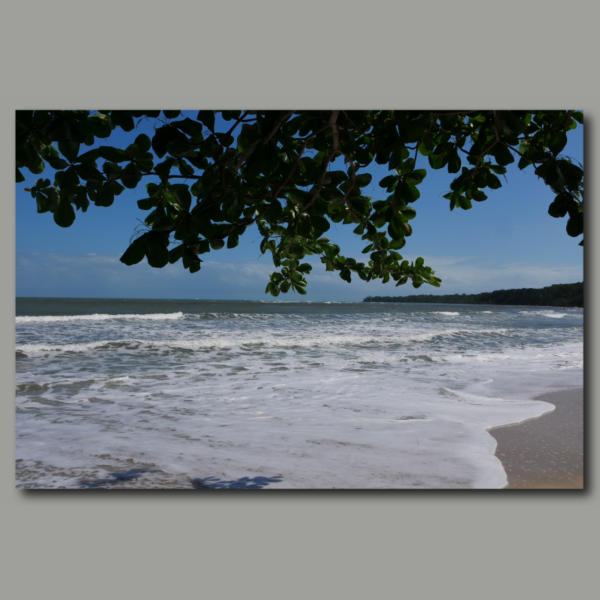 Poster : Parc national de Cahuita au Costa Rica 1