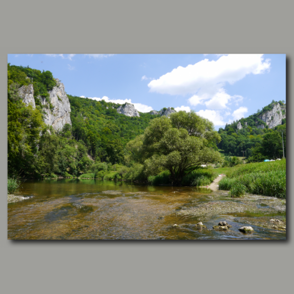 Poster: Schwäbische Alb die Donau Donaudurchbruch